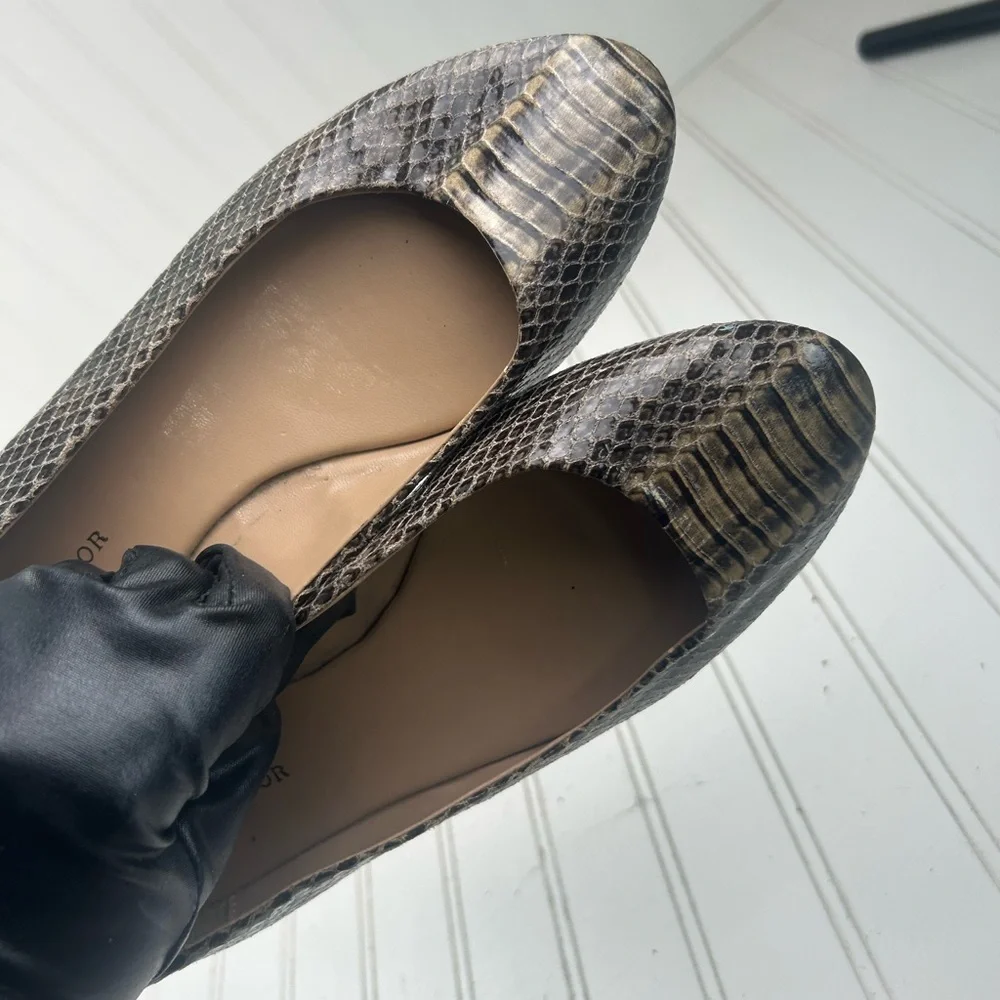 Ann Taylor ann taylor